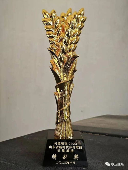 章丘文艺精品创作再结硕果 幸福笑脸 绽放全省新时代乡村歌曲颁奖晚会