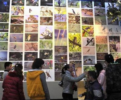 工厂矿山也能变景区？国家工业遗产旅游基地名单出炉 市场营销策划篇